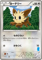 Lillipup 027/037