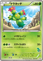 Maractus 005/037