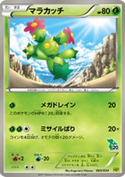 Maractus 005/034