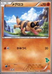 Sandile 023/034