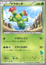 Maractus 005/034