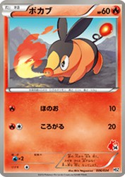 Tepig 006/034