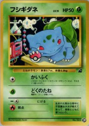 Bulbasaur 29
