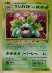 Venusaur 41
