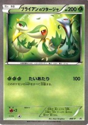 _____'s Snivy /
