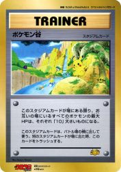 Pokémon Valley /