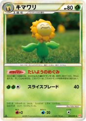 Sunflora 010/070
