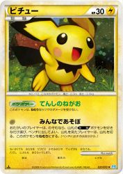 Pichu 031/070