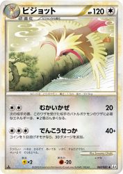 Pidgeot 060/080