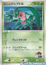 Ash's Grovyle 001/020