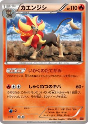 Pyroar 006/049