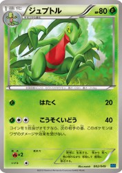 Grovyle 002/049