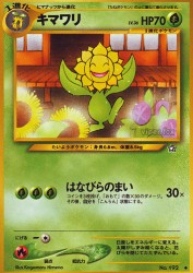 Sunflora —