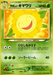 Light Sunflora —