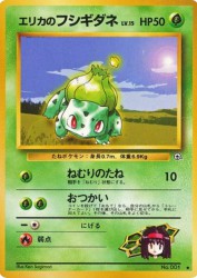 Erika's Bulbasaur —