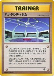 Cerulean City Gym —
