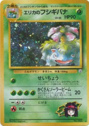 Erika's Venusaur —