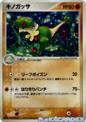 Breloom 047/082
