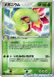 Meganium 004/106