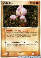 Tyrogue 074/106