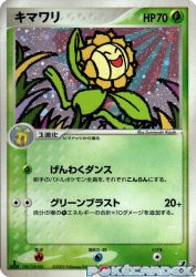 Sunflora 009/106