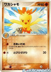 Combusken 044/075