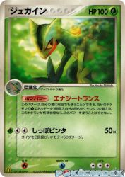Sceptile 119/PCG-P