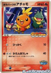 PokéPark's Torchic 047/PCG-P