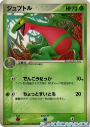 Grovyle 081/PCG-P