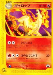 Rapidash 011/P