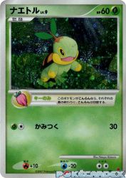 Turtwig 001/PPP