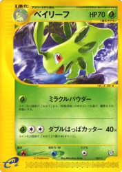 Bayleef 007/T