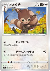 Furret 057/070