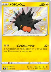 Pincurchin 242/190
