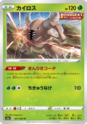 Pinsir 001/069