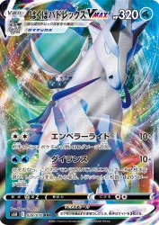 Ice Rider Calyrex-VMAX 028/070