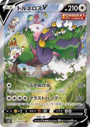 Tornadus-V 079/070
