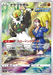 Passimian 203/184