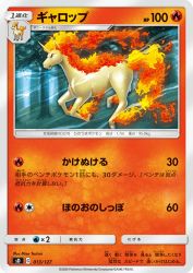 Rapidash 013/127