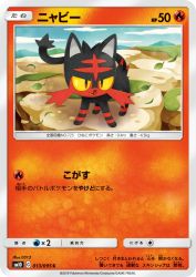 Litten 013/095
