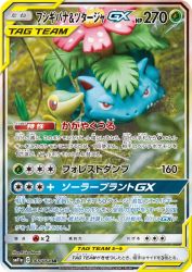 Venusaur & Snivy-GX 066/064