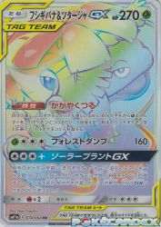 Venusaur & Snivy-GX 074/064