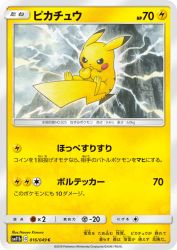 Pikachu 016/049
