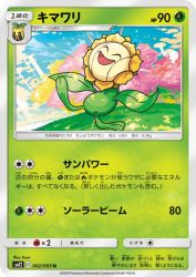 Sunflora 002/095