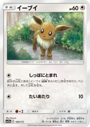Eevee 109/173