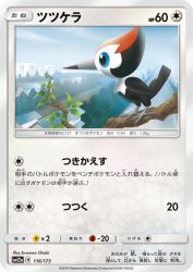Pikipek 116/173