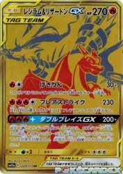 Reshiram & Charizard-GX 220/173