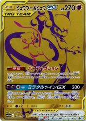 Mewtwo & Mew-GX 222/173