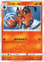 Torracat 024/173