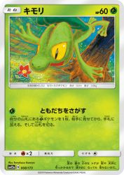 Treecko 008/173
